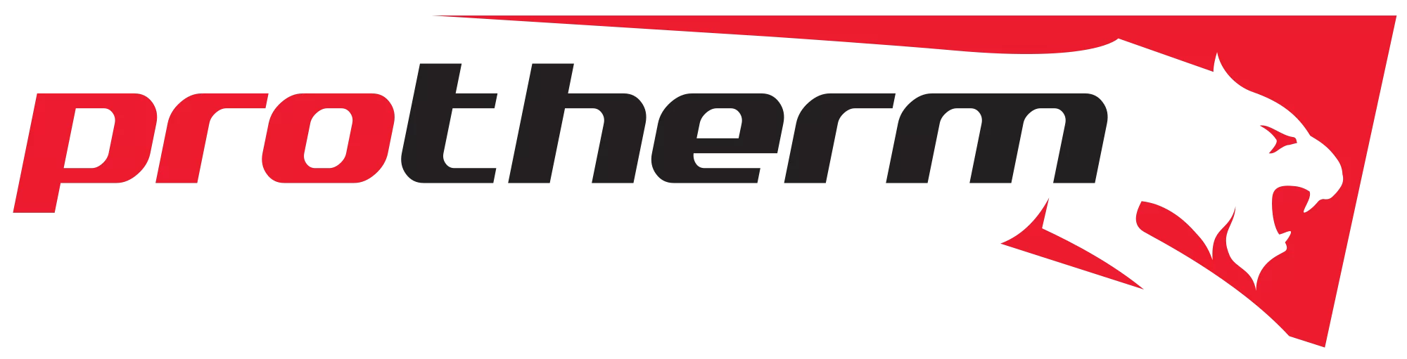 Protherm Özel Servis